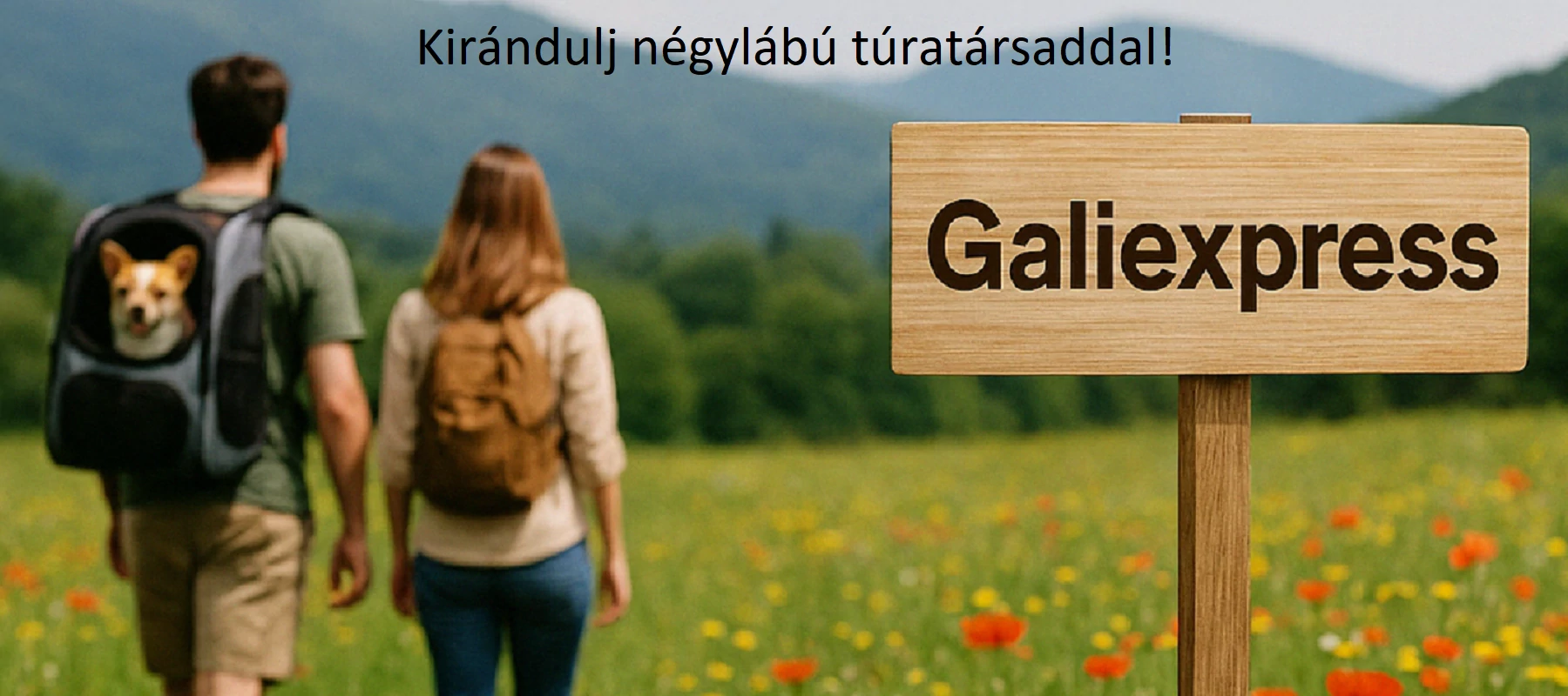 Kisállat szállító