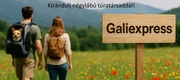 Kisállat szállító