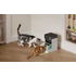 Petlibro RFID intelligens ételadagoló nyakörvvel, 3L